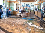 Visit Eastern Sierra Visitor Center (US Inter-Agency Visitor Center), Lone Pine, California