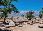 Visit Manzanar Japanese Gardens, Manzanar National Historic Site, California