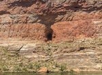 See Stanton's Cave, Colorado River, Arizona