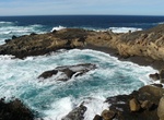 Explore Point Lobos Nature & Marine Reserve, California