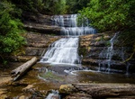 See Lady Barron Falls, Mount Field National Park, Tasmania, Australia