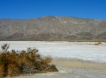 Visit Clark Homestead Ruins, Clark Dry Lake, California