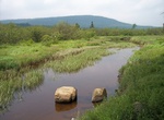 Visit Canaan Valley Resort State Park, West Virginia
