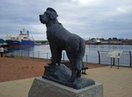 See Bamse Memorial Statue, Montrose, Scotland