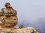 Visit Duck On A Rock Viewpoint, Grand Canyon National Park, Arizona