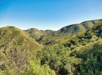 Explore Agua Tibia Wilderness, Temecula, California