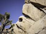 Rock Climb Chimney Rock, Joshua Tree National Park, California
