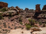 Hike Big Spring Canyon Trail, Canyonlands National Park, Utah