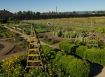 Visit The Fort Vancouver Garden, Vancouver, Washinton