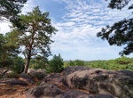 Explore Forest of Fontainebleau, France