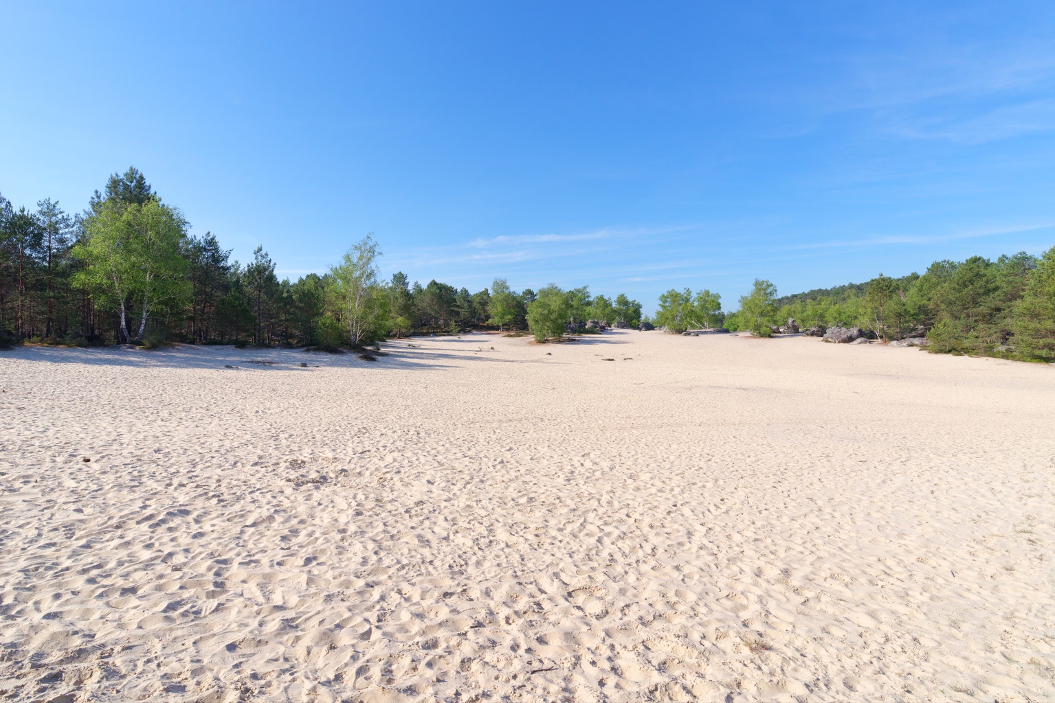 Sable Du Cul Du Chien