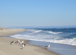 Visit Coopers Beach, Southampton, New York