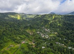 Explore Roseau Valley, Dominica