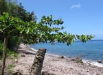 Visit Champagne Beach, Dominica