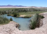 Explore Tecopa Hot Springs, Tecopa, California