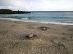 Hike to Pōhue Bay Beach, Big Island, Hawaii