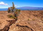 Hike Ka‘ū Desert Trail, Hawaii Volcanoes National Park, Big Island, Hawaii