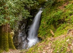 See Poulanass Waterfall, Glendalough Valley, Ireland