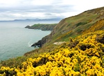 Explore Howth Head, Ireland