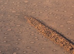 See Fairy Circles, Namibia