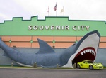 Shop at Souvenir City, Gulf Shores, Alabama
