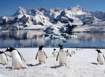 Visit Antarctica
