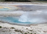 See Spasm Geyser, Lower Geyser Basin, Yellowstone National Park, Wyoming