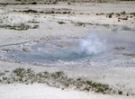 See Twig Geyser, Lower Geyser Basin, Yellowstone National Park, Wyoming
