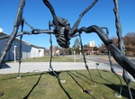See Maman Sculpture at Kemper Museum of Contemporary Art, Kansas City, Missouri