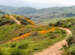 Explore Chino Hills State Park, California