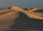 Explore Monahans Sandhills State Park, Texas