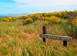 Guided Hike to Lester Ranch Site, San Miguel Island, California