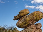 See Duck on a Rock, Chiricahua National Monument, Arizona