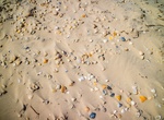 Visit Little Shell Beach, Padre Island National Seashore, Texas