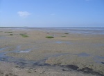 Explore Lower Saxon Wadden Sea National Park, Germany
