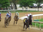 Attend Kentucky Oaks, Louisville, Kentucky