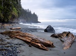 Hike to China Beach, Juan de Fuca Provincial Park, Vancouver Island, British Columbia, Canada