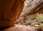Hike Grand Wash Trail, Capitol Reef National Park, Utah