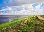 Explore Wadden Sea National Park, Denmark