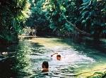 Visit Mason's Swimming Hole, Cape Tribulation, Queensland, Australia