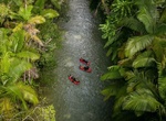 Do a Daintree River Drift, Daintree National Park, Queensland, Australia