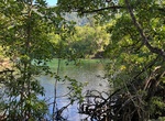 Hike Madja Boardwalk, Daintree National Park, Queensland, Australia