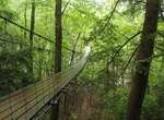 Cross Piney Creek Suspension Bridge, Spencer, Tennessee