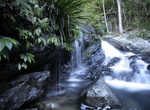 Hike to Bangalore Falls, Bindarri National Park, NSW, Australia