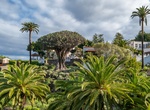 Visit Parque del Drago, Icod de los Vinos, Tenerife, Canary Islands