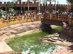 Visit Crocoparc Agadir (Agadir Crocodile Park), Agadir, Morocco