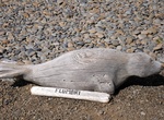 See Icelandic Seal Cente Wood Carvings, Hvammstangi, Iceland