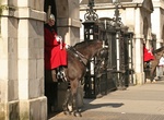 Attend Changing The King's Life Guard, Horse Guards Parade, London,