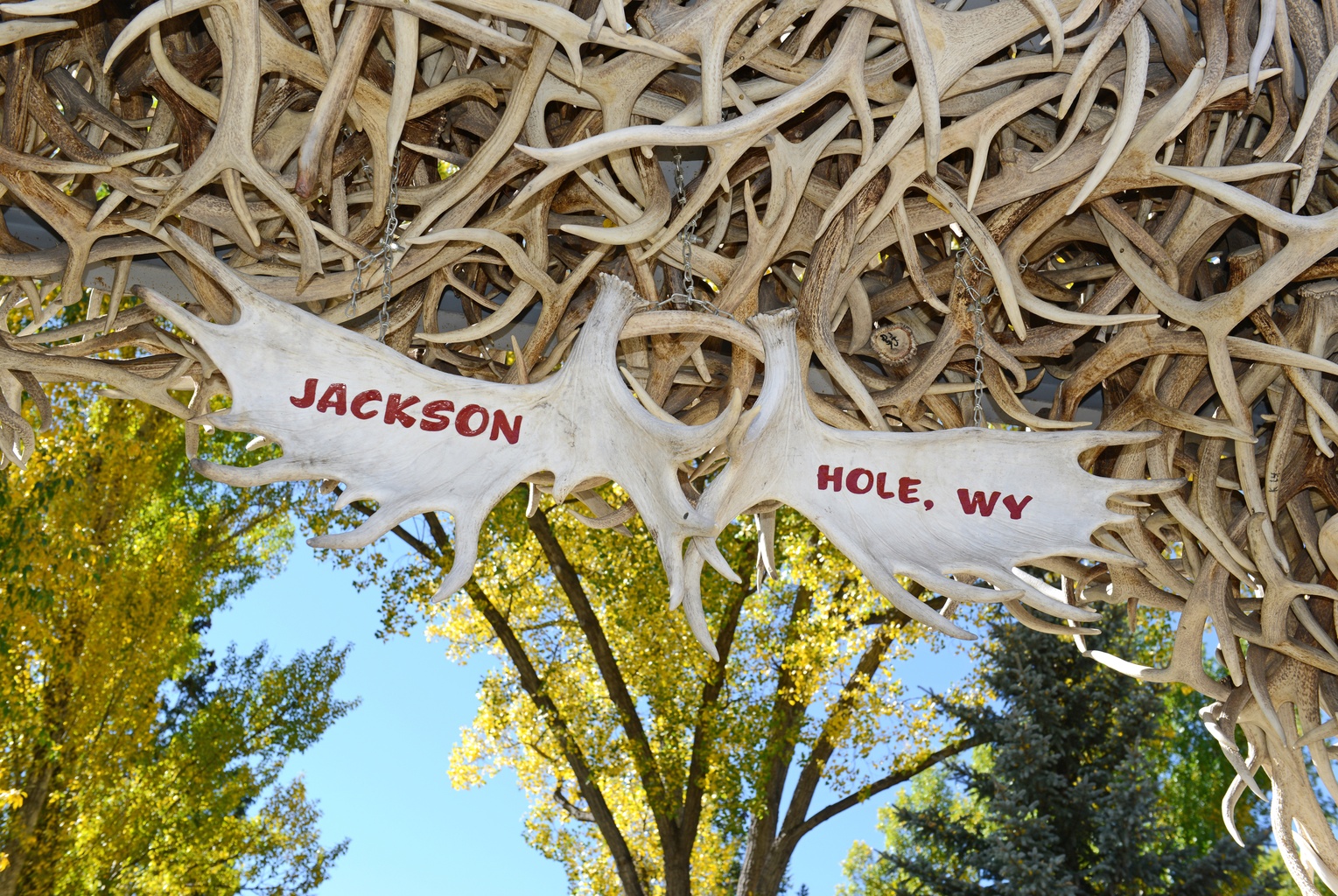 Best Time to Visit Jackson Hole Wyoming