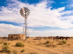 Visit Bisti Badlands Water Windmill, New Mexico